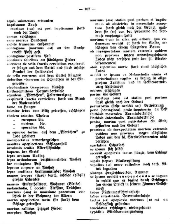 Latein in Kirchenmatriken - 3