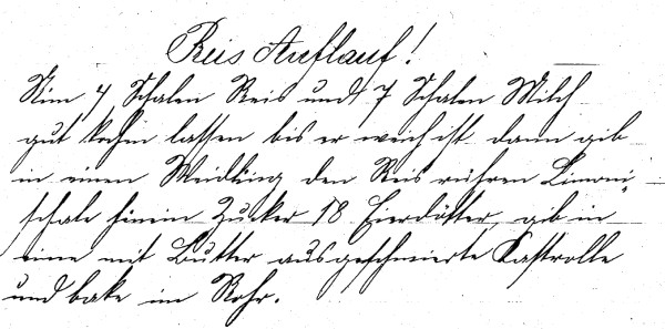 Rezept 'Reis Auflauf'