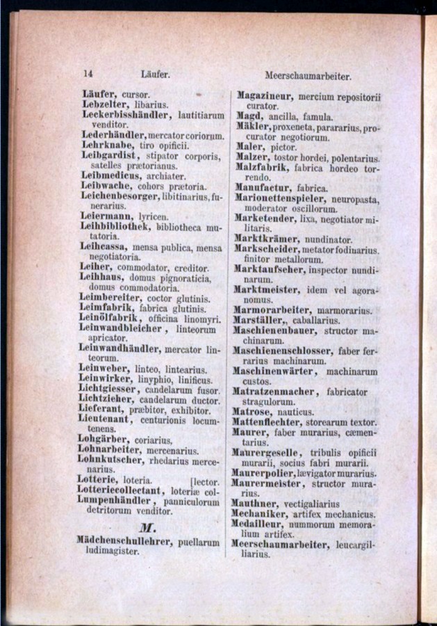 Teil 1 Deutsch - Latein / von 'Läufer' bis 'Meerschaumarbeiter'